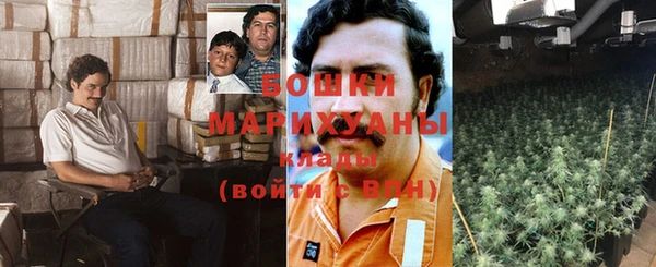 прущие крисы Алзамай