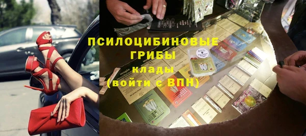 не бодяженный Арсеньев