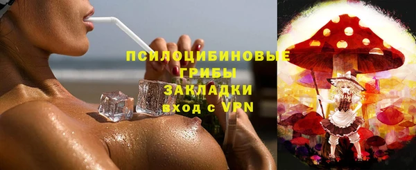 прущие крисы Алзамай